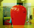 carrot
balloon - carrot sealed air inflatable